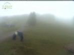 Archiv Foto Webcam Feldberg - Grafenmatt 07:00