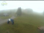 Archiv Foto Webcam Feldberg - Grafenmatt 11:00