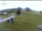 Archiv Foto Webcam Feldberg - Grafenmatt 11:00