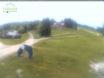 Archiv Foto Webcam Feldberg - Grafenmatt 11:00