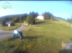 Archiv Foto Webcam Feldberg - Grafenmatt 07:00