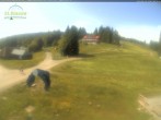 Archiv Foto Webcam Feldberg - Grafenmatt 10:00