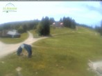 Archiv Foto Webcam Feldberg - Grafenmatt 12:00