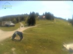 Archiv Foto Webcam Feldberg - Grafenmatt 14:00