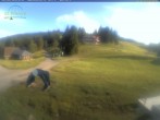 Archiv Foto Webcam Feldberg - Grafenmatt 17:00