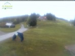 Archiv Foto Webcam Feldberg - Grafenmatt 19:00