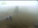 Archiv Foto Webcam Feldberg - Grafenmatt 05:00