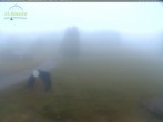 Archiv Foto Webcam Feldberg - Grafenmatt 06:00