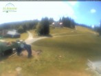 Archiv Foto Webcam Feldberg - Grafenmatt 11:00