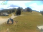 Archiv Foto Webcam Feldberg - Grafenmatt 13:00