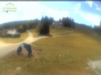 Archiv Foto Webcam Feldberg - Grafenmatt 11:00