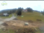 Archiv Foto Webcam Feldberg - Grafenmatt 11:00