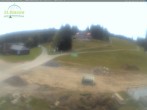 Archiv Foto Webcam Feldberg - Grafenmatt 11:00