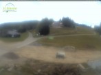 Archived image Webcam Grafenmatt 11:00