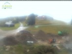 Archiv Foto Webcam Feldberg - Grafenmatt 11:00
