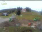 Archiv Foto Webcam Feldberg - Grafenmatt 08:00