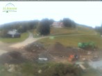 Archiv Foto Webcam Feldberg - Grafenmatt 08:00