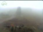 Archiv Foto Webcam Feldberg - Grafenmatt 11:00