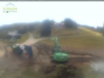 Archiv Foto Webcam Feldberg - Grafenmatt 11:00