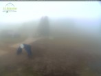 Archiv Foto Webcam Feldberg - Grafenmatt 07:00