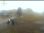 Archiv Foto Webcam Feldberg - Grafenmatt 11:00
