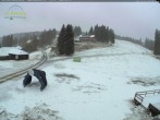Archiv Foto Webcam Feldberg - Grafenmatt 08:00