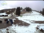 Archiv Foto Webcam Feldberg - Grafenmatt 11:00