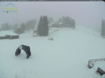 Archiv Foto Webcam Feldberg - Grafenmatt 06:00