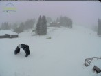 Archiv Foto Webcam Feldberg - Grafenmatt 07:00