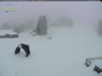 Archiv Foto Webcam Feldberg - Grafenmatt 09:00
