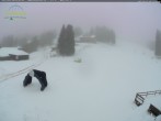 Archiv Foto Webcam Feldberg - Grafenmatt 11:00