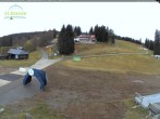 Archiv Foto Webcam Feldberg - Grafenmatt 11:00