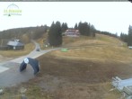 Archiv Foto Webcam Feldberg - Grafenmatt 08:00