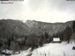 Archiv Foto Webcam Feldberg Raimartihof 11:00