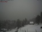 Archiv Foto Webcam Feldberg Raimartihof 13:00