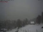 Archiv Foto Webcam Feldberg Raimartihof 15:00