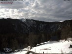 Archiv Foto Webcam Feldberg Raimartihof 11:00