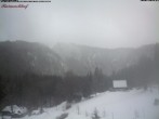 Archived image Webcam Raimartihof - Feldberg Seebuck 13:00