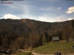 Archived image Webcam Raimartihof - Feldberg Seebuck 11:00