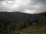 Archiv Foto Webcam Feldberg Raimartihof 09:00