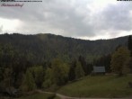 Archiv Foto Webcam Feldberg Raimartihof 11:00