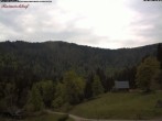 Archiv Foto Webcam Feldberg Raimartihof 13:00