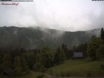 Archived image Webcam Raimartihof - Feldberg Seebuck 07:00