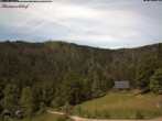 Archiv Foto Webcam Feldberg Raimartihof 09:00