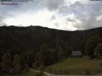 Archiv Foto Webcam Feldberg Raimartihof 11:00