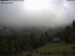 Archived image Webcam Raimartihof - Feldberg Seebuck 11:00