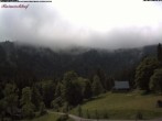 Archived image Webcam Raimartihof - Feldberg Seebuck 13:00