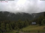 Archived image Webcam Raimartihof - Feldberg Seebuck 15:00
