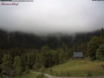 Archiv Foto Webcam Feldberg Raimartihof 09:00