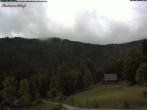 Archiv Foto Webcam Feldberg Raimartihof 11:00